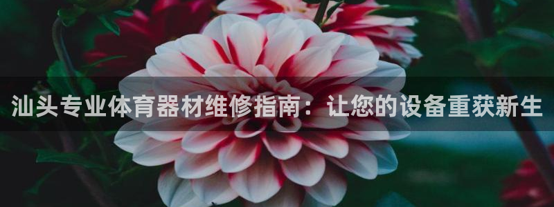 尊龙百度百科