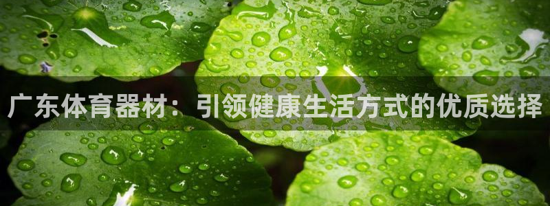 凯时平台官网RA来就送38