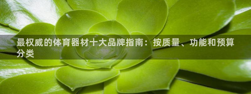 尊龙人生就是博网站