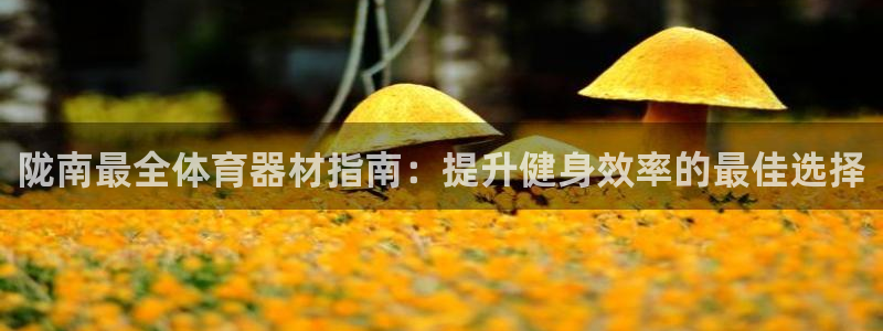 凯时官网手机版首页