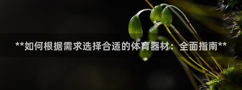 d88尊龙平台开户
