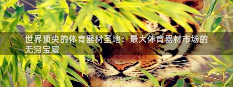 Z6尊龙官网入口