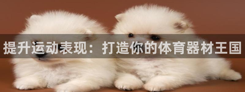 尊龙凯时赢不了