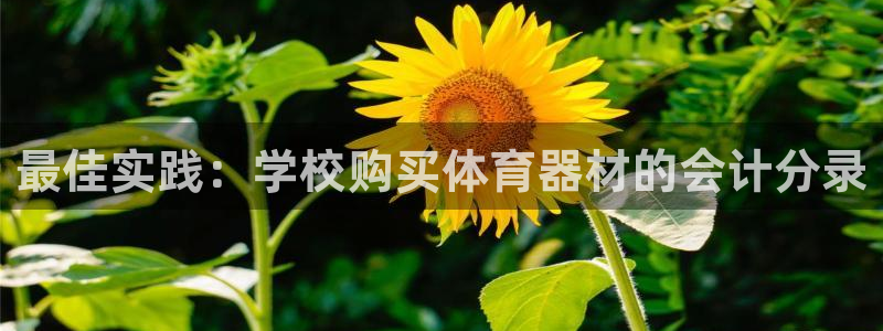 尊龙凯时取款24小时不到账