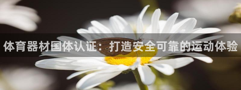 尊龙凯时网