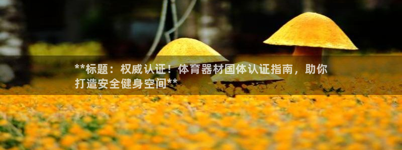 尊龙凯时发展历程