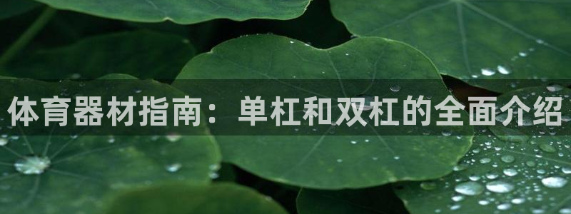 尊龙凯时白家乐