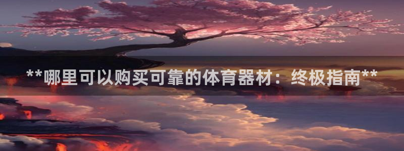 尊龙ag