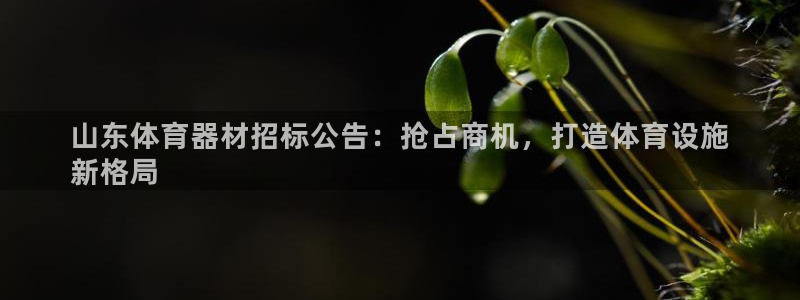 尊龙凯时平台官网