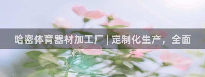 尊龙凯时 - 人生就是搏手机登录：哈密体育器材加工厂 | 定