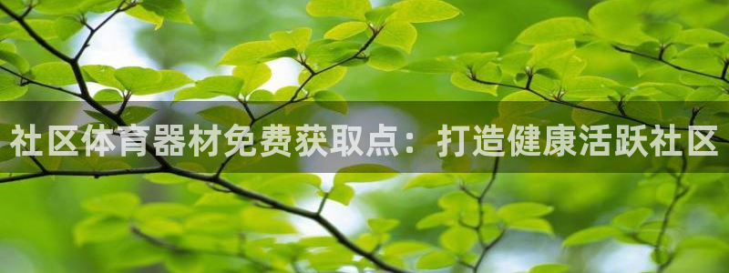 最新凯时官网网址：社区体育器材免费获取点：打造健康活跃社区