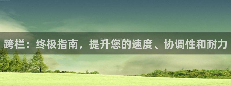 尊龙凯时人生就是博官网登录：跨栏：终极指南，提升您的速度、协