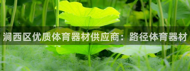 尊龙凯时网娱乐官网